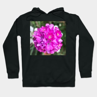 Great Ball of Fire Hoodie